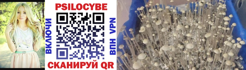 Псилоцибиновые грибы Cubensis  это состав  Валуйки 
